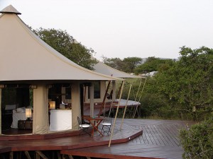  Blend in with your surroundings on a glamping holiday in Africa.
