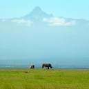 Mt Kenya and Rhino at Ol Pejeta Conservancy in Kenya