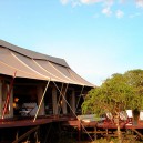 Families on an African safari to Kenya are welcome at Olseki lodge in the Masai Mara National Reserve. The lodge offers a variety of accommodation for families, couples and friendship groups.