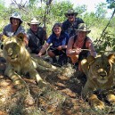 Get the adrenalin flowing as we walk with young orphaned lions in Zambia