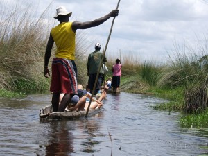 botswana okavango delta