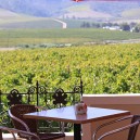 Spending a day in the famous wine region of Stellenbosch in South Africa sipping fine wine, nibbling on tasty cheeses and enjoying the glorious weather