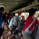 Game driving in an overland safari truck ensures everyone is in the BEST seat for game viewing! The ideal transport for school groups.