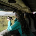 Time for work and time for play! We love combining community service projects with a safari to fabulous game parks like the Serengeti National Park in Tanzania.