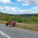 Land Rover is not the only mode of transport on the roads on Africa. We will see plenty of donkey carts on our self drive African adventure