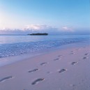 Take an afternoon stroll along the powder white beaches of the Swahili coast in Kenya.