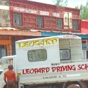 There is even a driving school for leopards in Kenya!!! Only joking ......